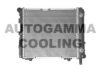 AUTOGAMMA 102003 Radiator, engine cooling